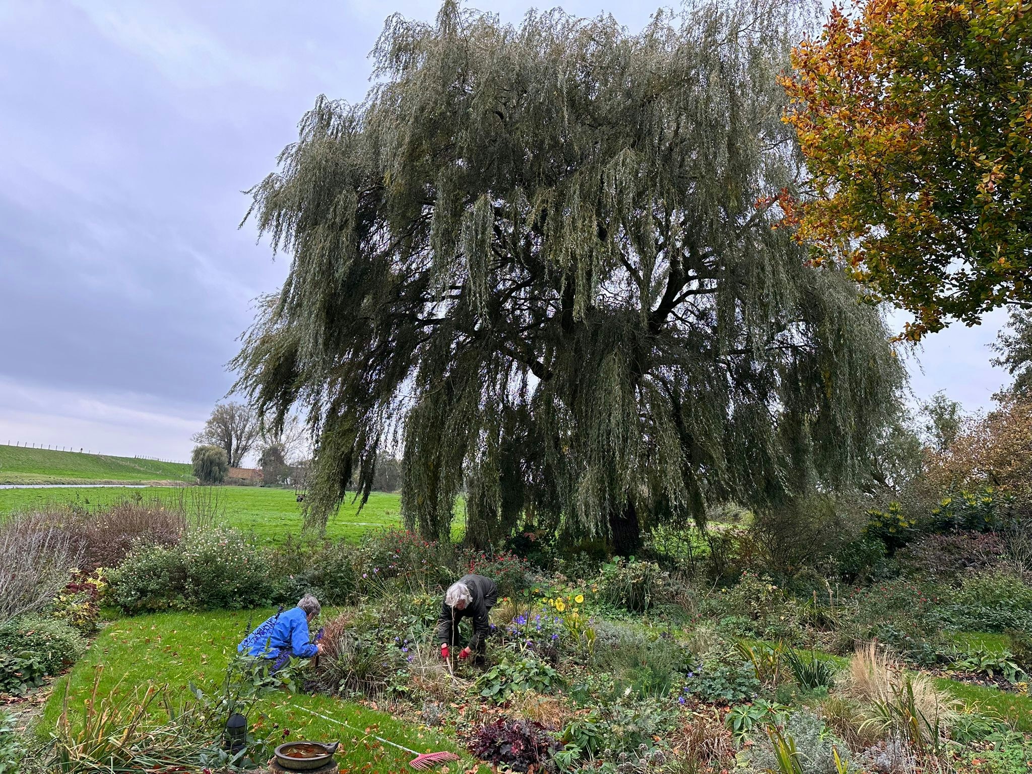 Doe es gewoon vrijwillig