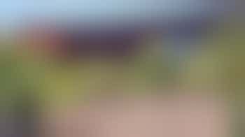 Boompjes planten in Wervershoof