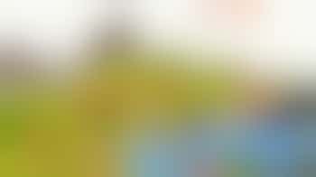 John Muir Award - provider workshop