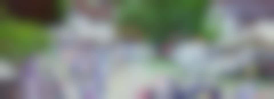 Infrastructure Manager