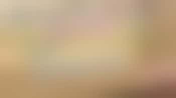 Support Opportunities with Stroud Against Racism