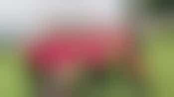 Programme Volunteer (Forest Camp)