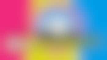 lid vrijwilligerscommissie Meerpaaldagen