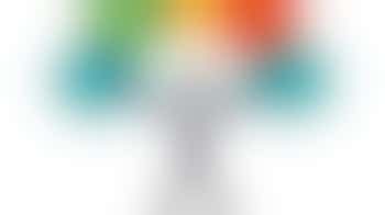 Fundraising & Engagement Champion