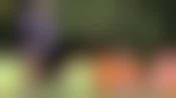 Website Content and Updates Lead