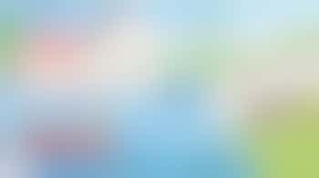 Gastdocent Woeste Wereld (vrijwillig)