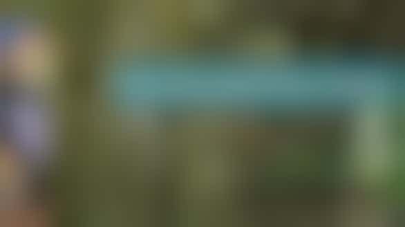 NOV Knowledge Boost Week