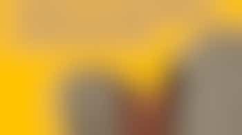 Experience Feedback Volunteer