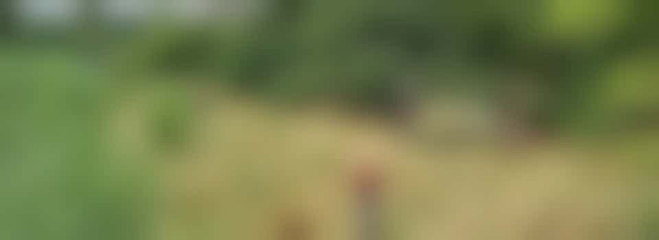 Twee bestuursleden (secretaris en algemeen lid)