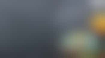 Specialist in jouw vak? Deel jouw kennis!