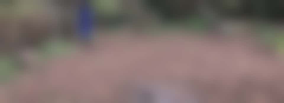 Stuk moestuin aangeboden op Nieuw Rotsoord