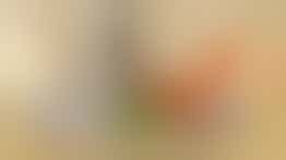 Marhaban, dagbesteding voor Marokkaanse dames