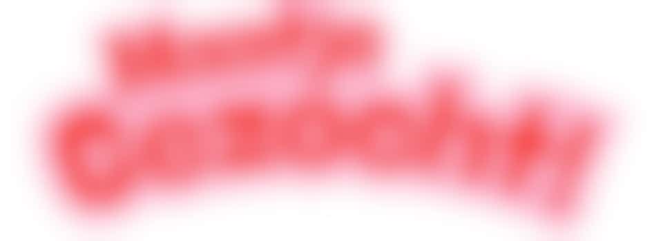 Russisch sprekend Maatje gezocht