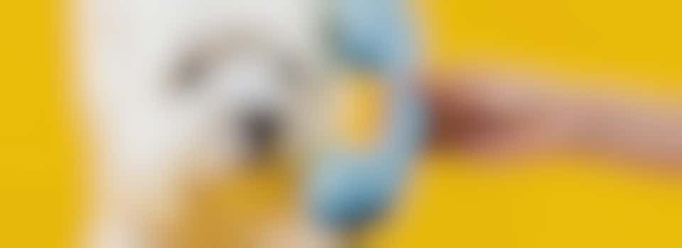 Telefonisch hulpverlener/telefonist