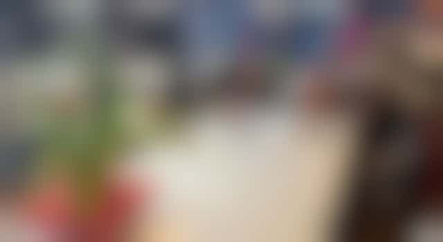 Host T-Leuten Tuinwijk met culturele interesse