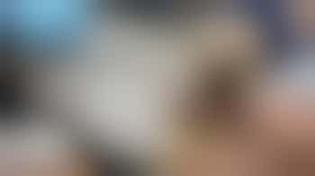 Algemeen bestuurslid Vogelopvang Utrecht