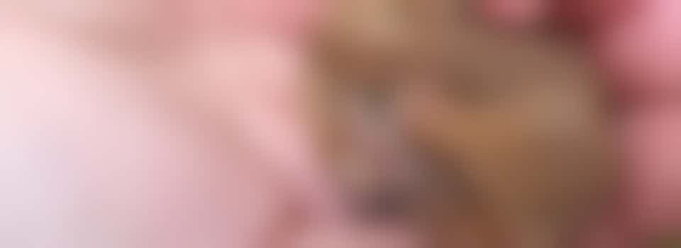 Sutton Bingham Dormouse Survey