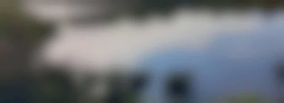 Wildlife Surveyor Wilstock and Stockmoor Country Park