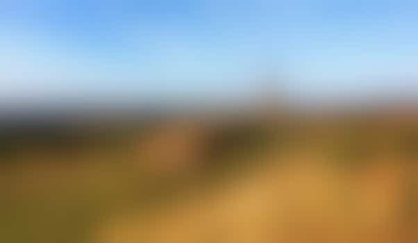 Ham Hill Visitor Centre Volunteer (Ham Hill Country Park)