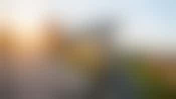 🚲Fietsmaatje gezocht, samen in beweging!🚲