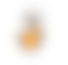 Dutch Sign Language Workshop