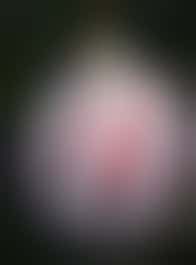 Lorem ipsum Lorem ipsum