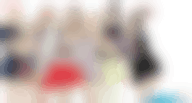 Begeleider Meidengroep