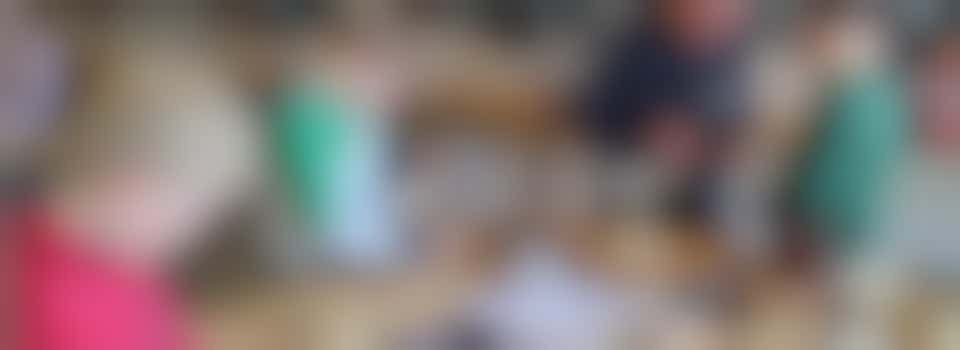 Begeleider technieklessen