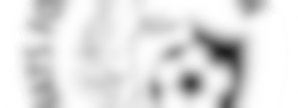 Word onze accommodatieheld in “De Basis”