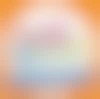 Avondvierdaagse Stede Broec