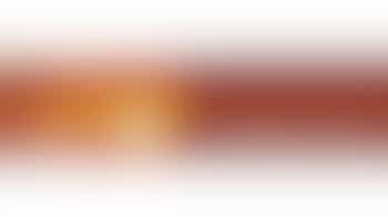 gezocht een dierenliefhebber die mij kan ondersteunen.