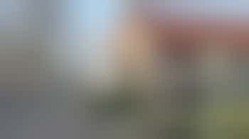 Vrijwilliger gezocht – Taalmaatje of groepsbegeleider voor anderstaligen