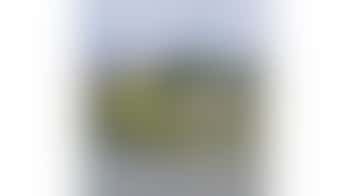 Stichting Rijnoevervaarten