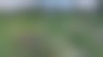 Vrijwilligers gezocht zelfoogsttuin Koppelsteede