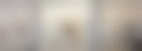 Allround guest lady / host wanted at TIP