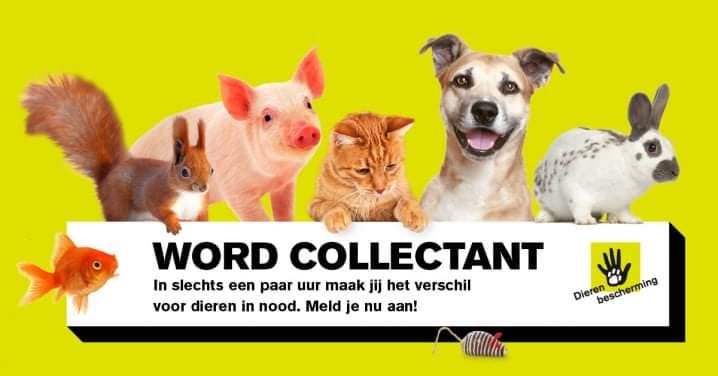 Dierenbescherming | #WijZijnVrijwilligers