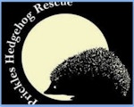 Prickles Hedgehog Rescue