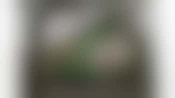 Huis van de wijk  De Stek