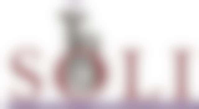 Bestuursleden voor muziekvereniging SOLI