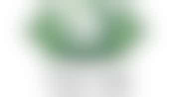 Buddhist Compassion Relief Tzu Chi Foundation St. Maarten.