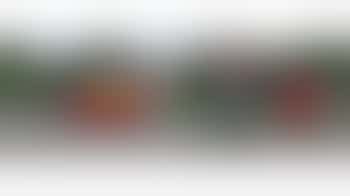 Speeltuin De Veilige Haven