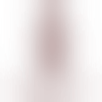 Eigen stage: training geven