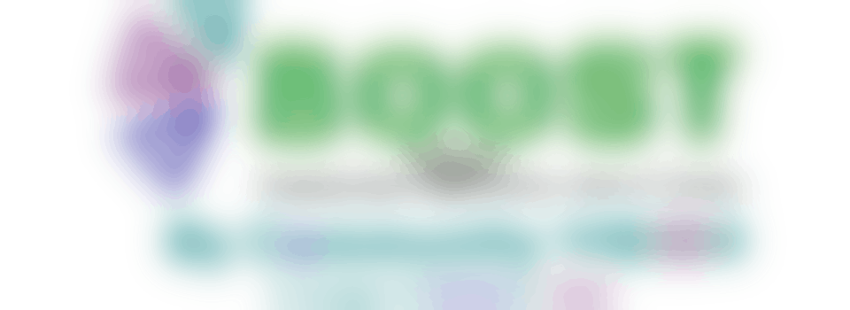 BOOST By Community Vision