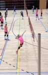 LIVO volleybal