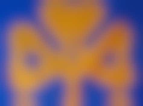 Unit helper or Guide leader (18+)