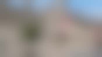 Museum Collections Volunteer