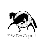 PSV de Caprilli