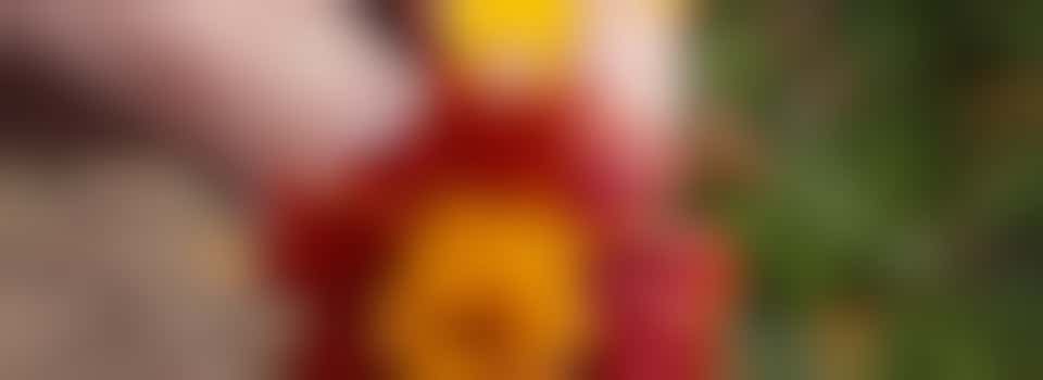 Volunteer position: Overnight worker