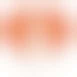 Medewerker Administratie