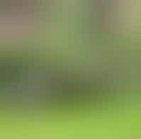 Buurttuin 't Allegaardje in Zwaag